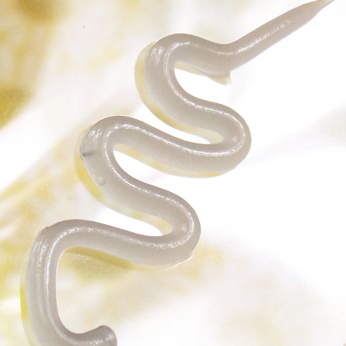 2 Minute Exfoliating Peeling Gel Wash-off Mask - Image 3